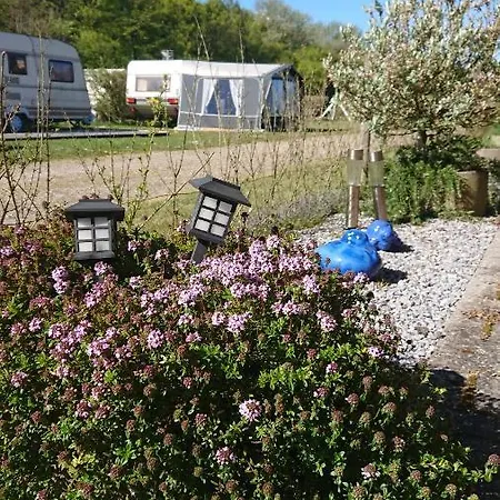 Morso & Campsite *